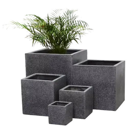 Stylish and Versatile Designs